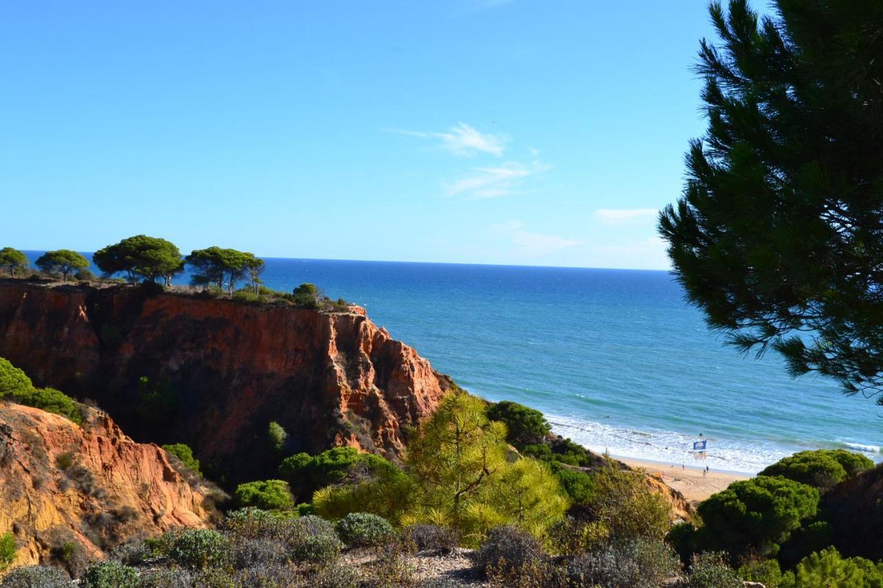 T0 Junto A Praia De Vale Centeanes / Carvoeiro Lagoa  Exteriör bild